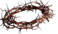 A picture of a crown of thorns